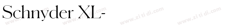 Schnyder XL字体转换